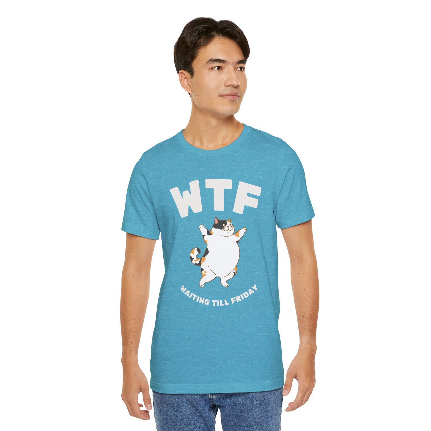 WTF Waiting Till Friday Chubby Cat Funny T-Shirt