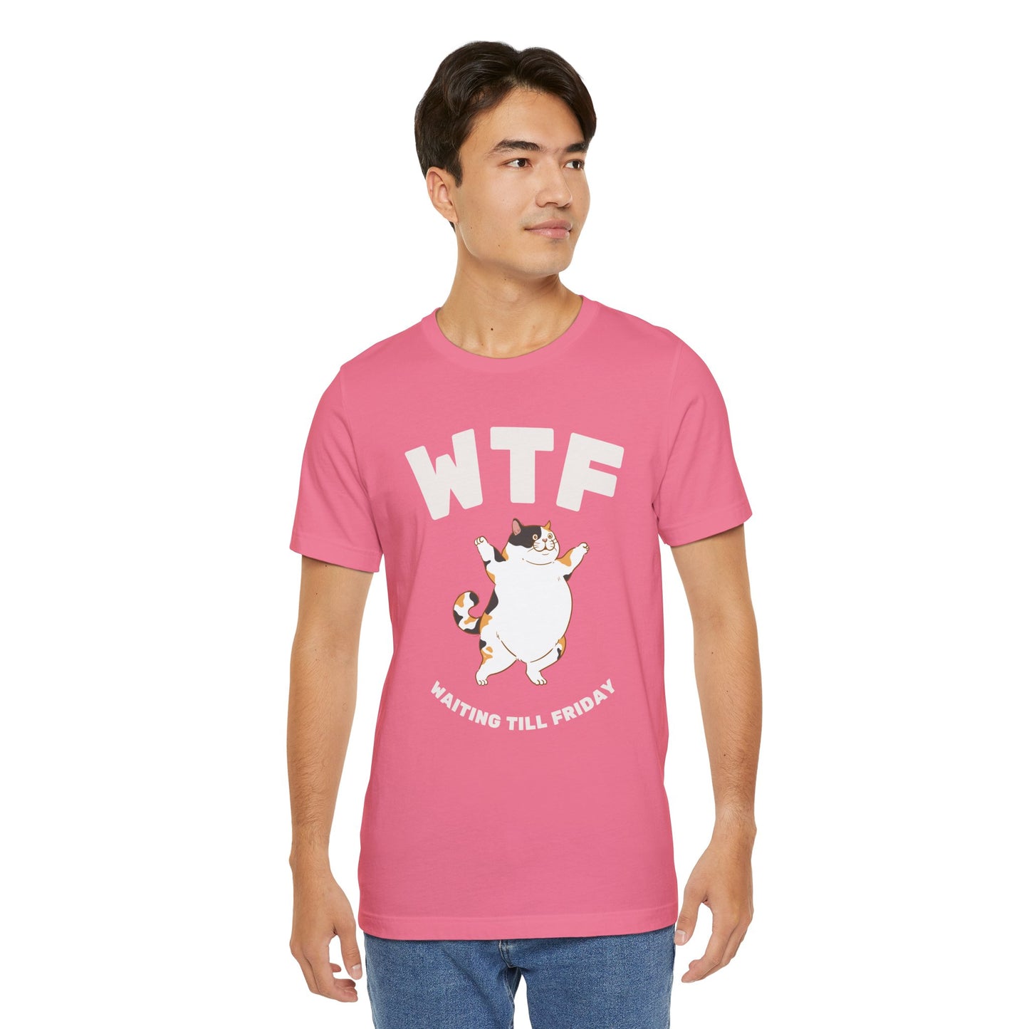 WTF Waiting Till Friday Chubby Cat Funny T-Shirt